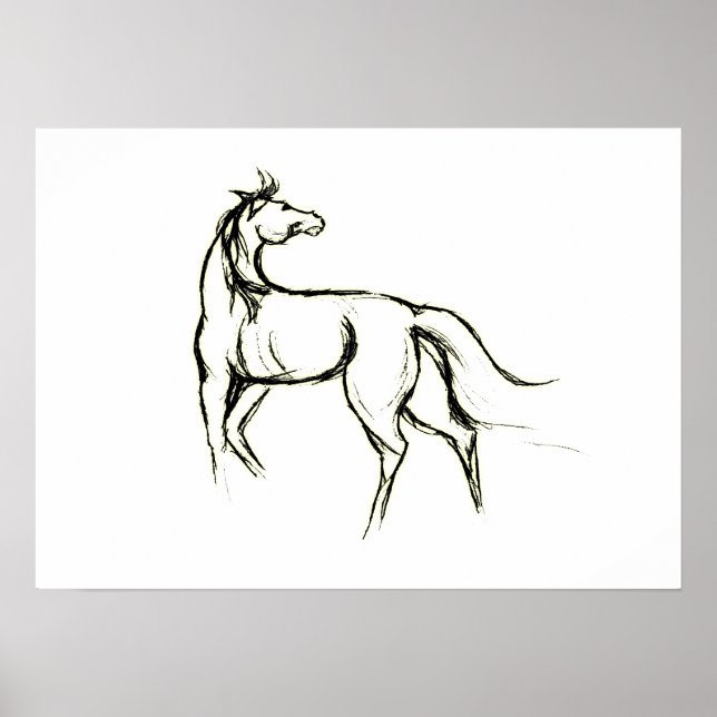 Horse Illustration Poster (Front)