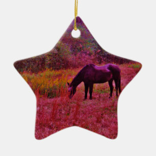 Horse in a Kaleidoscope Coloured Field Ceramic Ornament