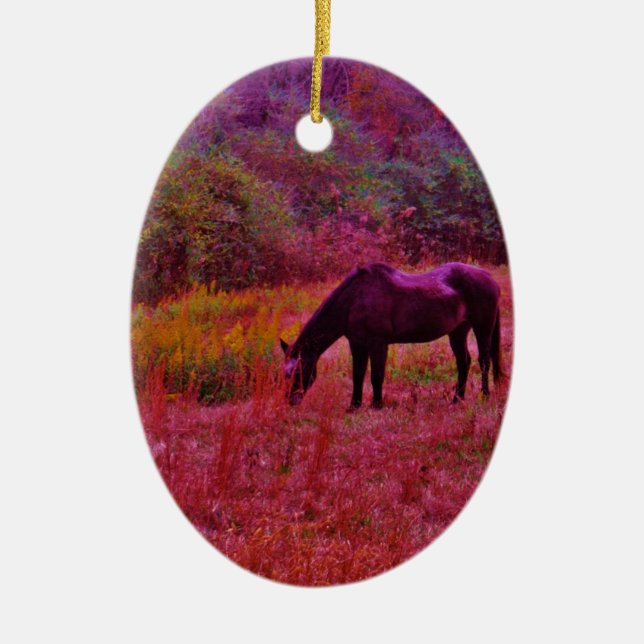 Horse in a Kaleidoscope Coloured Field Ceramic Ornament (Front)