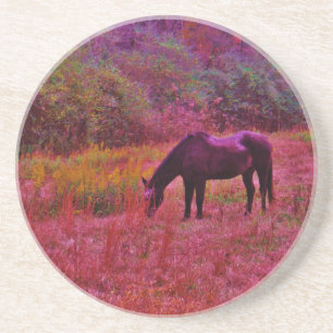Horse in a Kaleidoscope Coloured Field Coaster