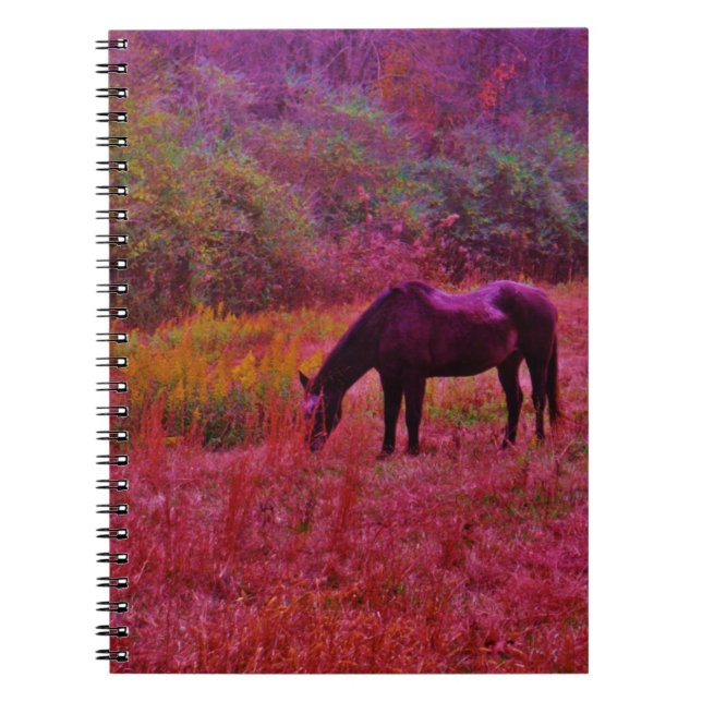 Horse in a Kaleidoscope Coloured Field Notebook (Front)