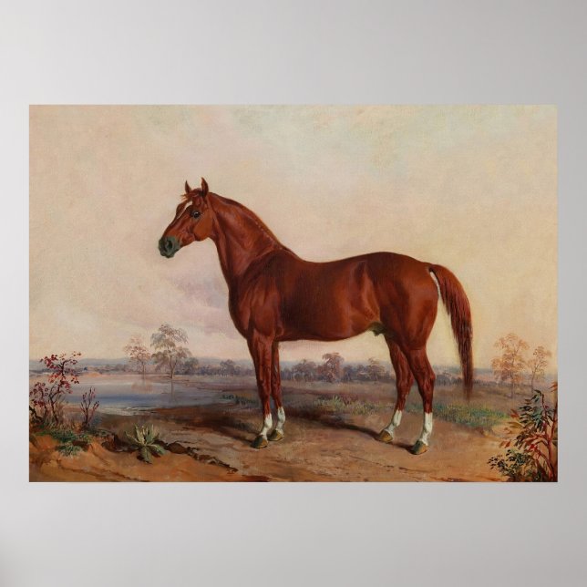 Horse in a Landscape Vintage Art Poster (Front)