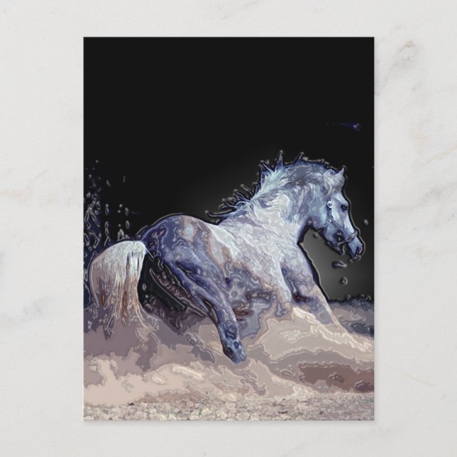 Horse in Action Postcard (Front)