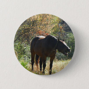 Horse in Autumn 2 Inch Round Button