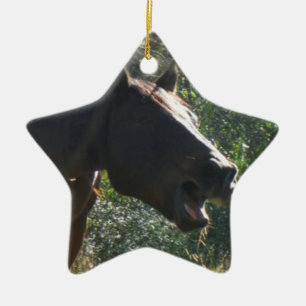 Horse in Autumn Ceramic Ornament