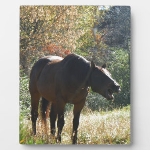 Horse in Autumn Plaque