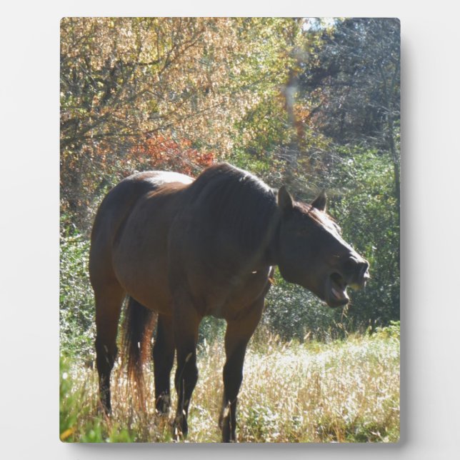 Horse in Autumn Plaque (Front)