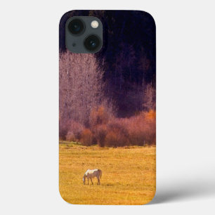 Horse In Fall I iPhone 13 Case