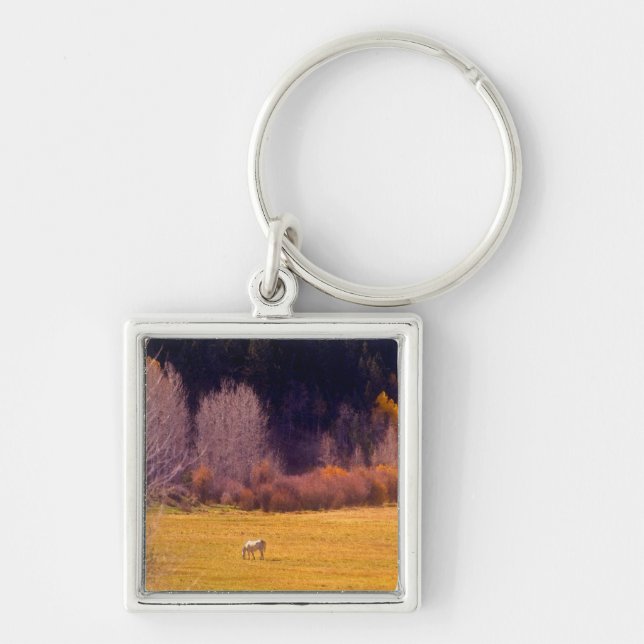 Horse In Fall I Keychain (Front)