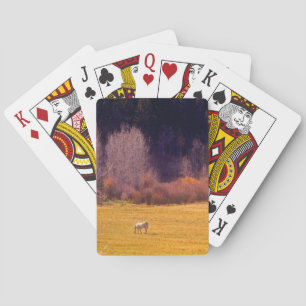 Horse In Fall I Playing Cards