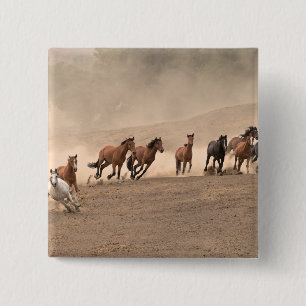 Horse In Fall II 2 Inch Square Button