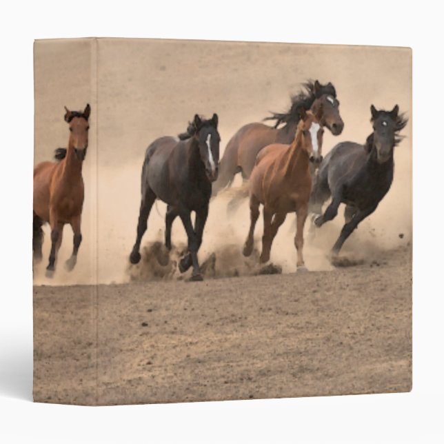 Horse In Fall II Binder (Front/Spine)