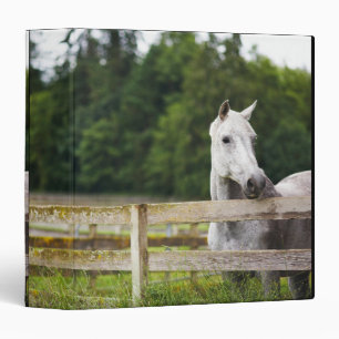 Horse in field looking over fence binder