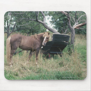 Horse in field with buggy mouse pad