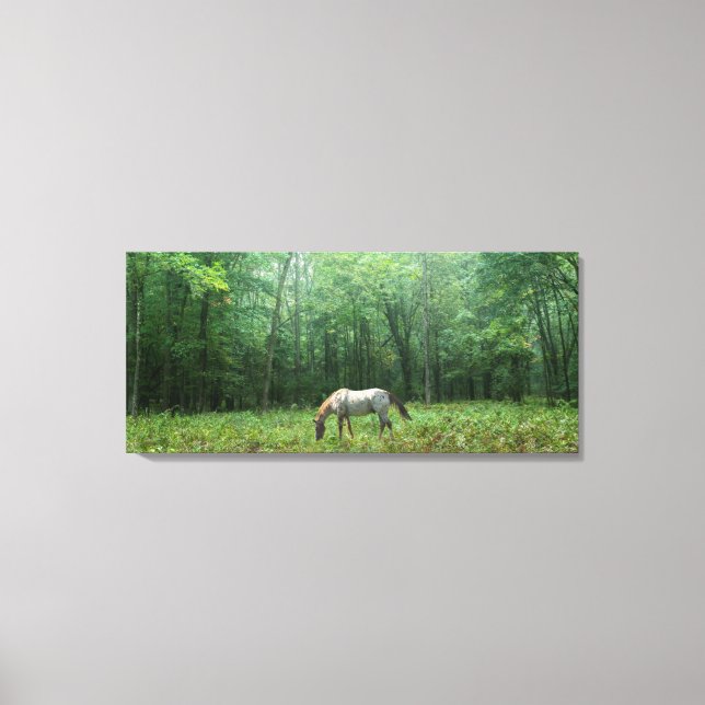 Horse in Meadow Canvas Print (Front)