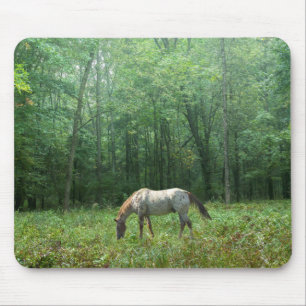 Horse in Meadow Mouse Pad