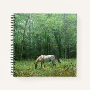Horse in Meadow Notebook