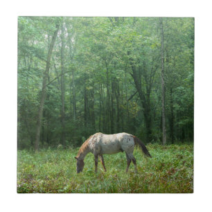 Horse in Meadow Tile