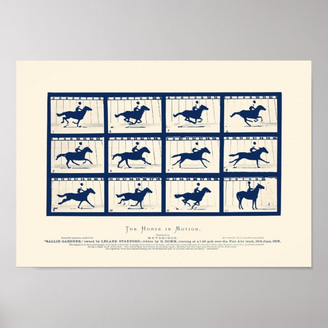 Horse In Motion - Sallie Gardner At A Gallop Poster (Front)