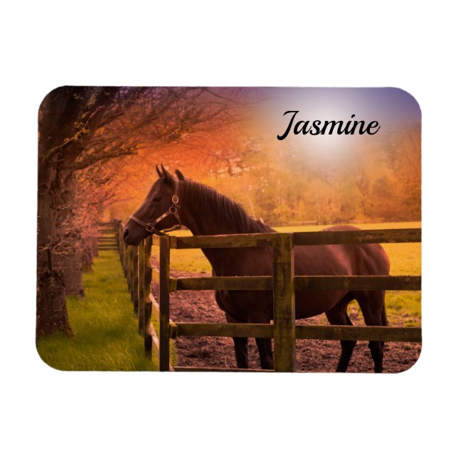Horse in Paddock Personalized Magnet (Horizontal)