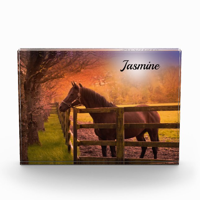 Horse in Paddock Personalized Photo Block (Front)