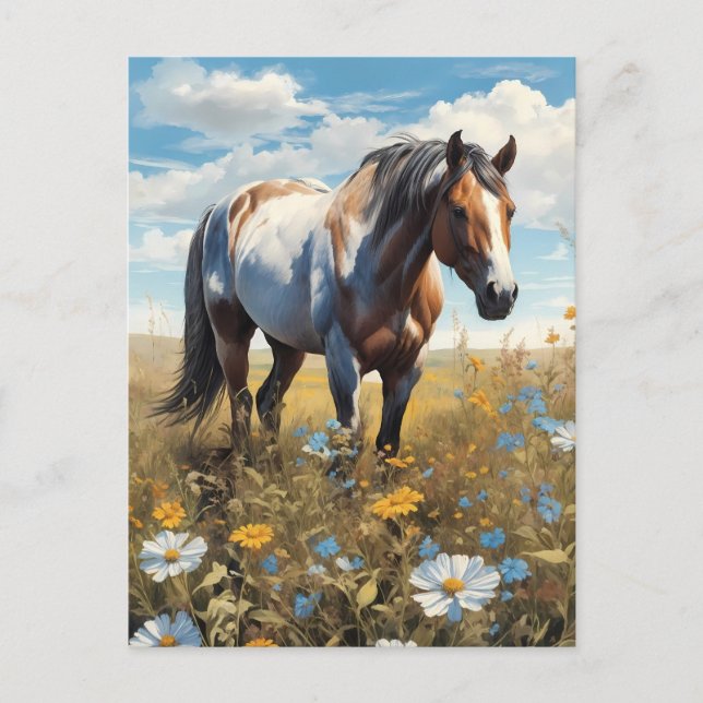 horse in  postcard (Front)