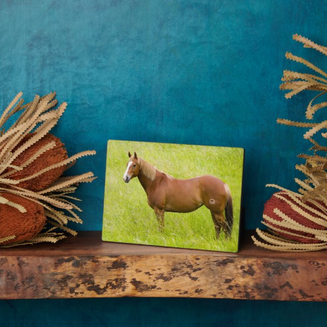 Horse in Spring Field Plaque (Side)