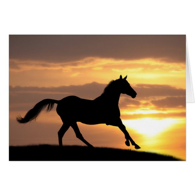 Horse In Sunset (Front Horizontal)