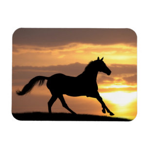 Horse In Sunset Magnet