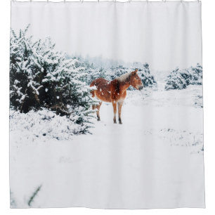HORSE IN THE FALLING SNOW