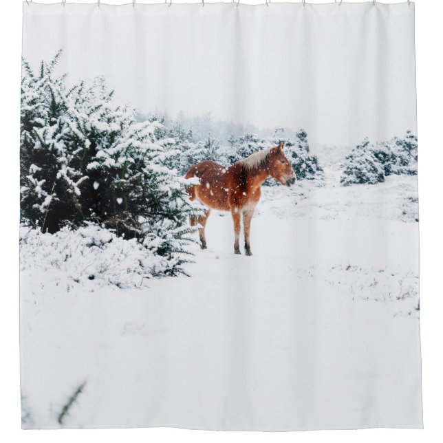 HORSE IN THE FALLING SNOW (Front)