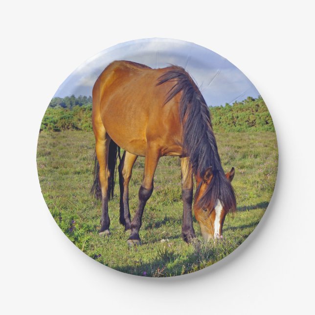 horse in the meadow plate (Front)