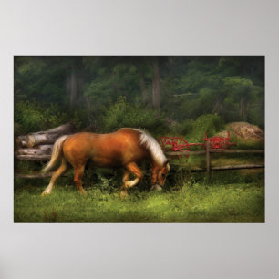 Horse - In the Meadow Poster