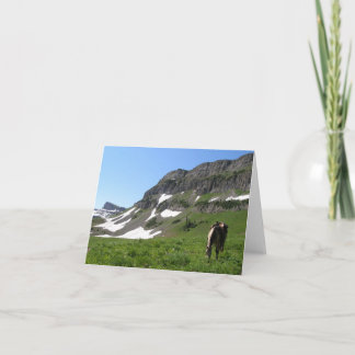 Horse in the Mountains Note Card