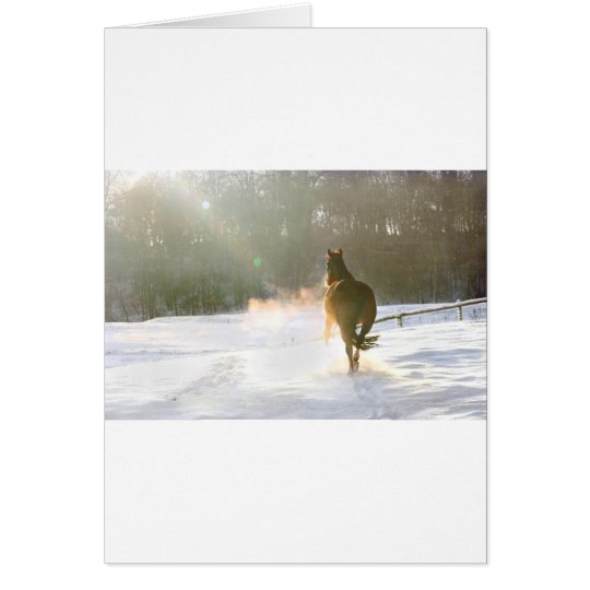 Horse in the snow card