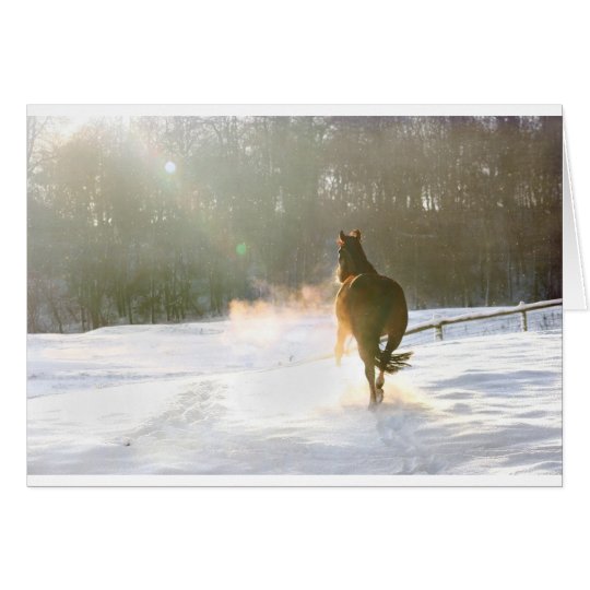 Horse in the snow card