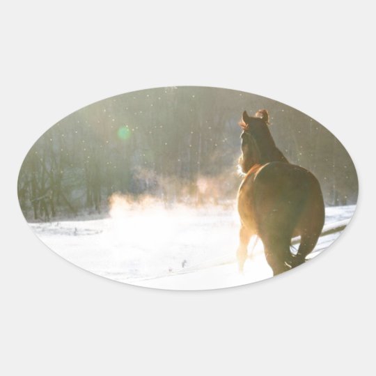 Horse in the snow oval sticker