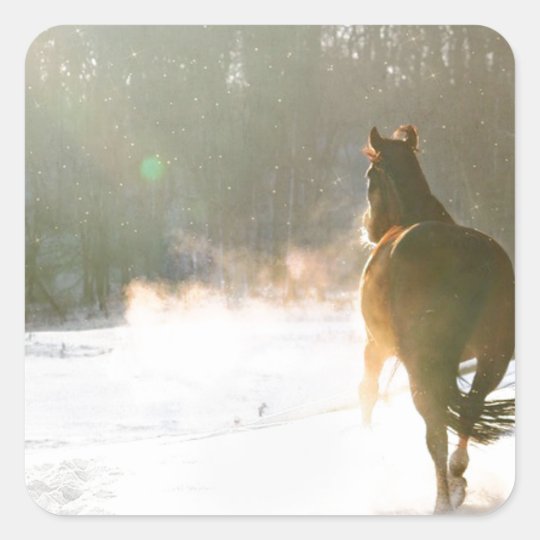 Horse in the snow square sticker
