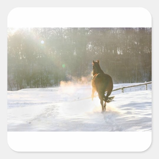 Horse in the snow square sticker