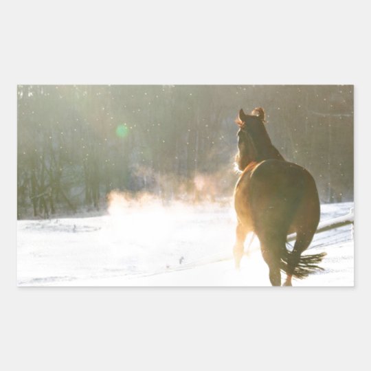 Horse in the snow sticker