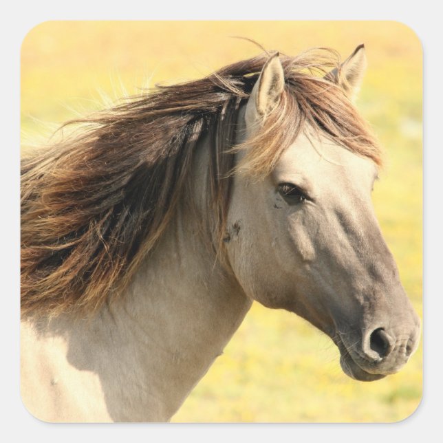 Horse in the wild square sticker (Front)
