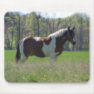 Horse in the Wildflowers Mouse Pad