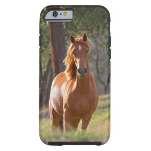 Horse In The Woods Tough iPhone 6 Case