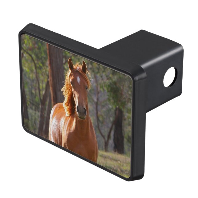 Horse In The Woods Trailer Hitch Cover (Top Right)