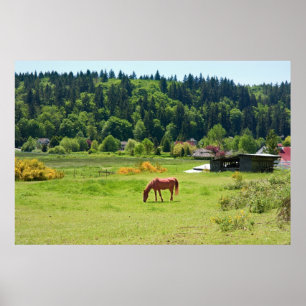 Horse in Valley Print