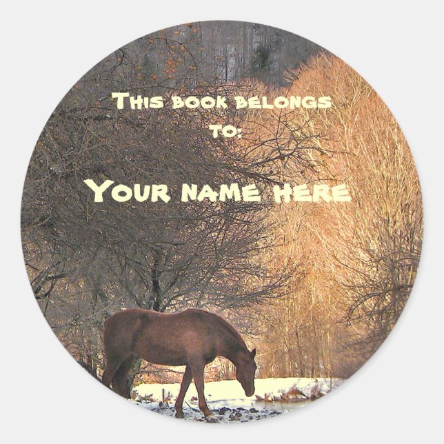 Horse in Winter Bookplate Classic Round Sticker (Front)