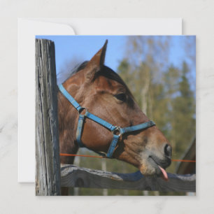 Horse invitation