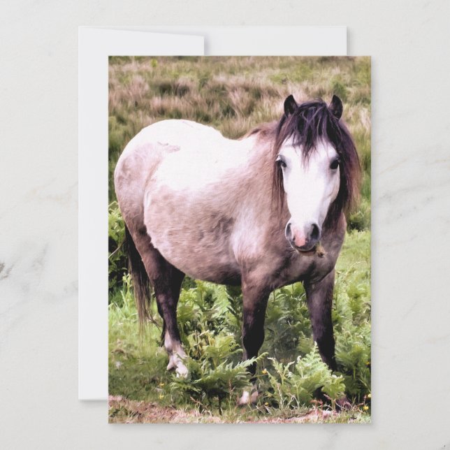 HORSE INVITATION (Front)