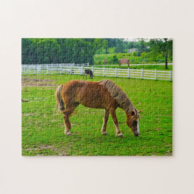 Horse Jigsaw Puzzle (Horizontal)