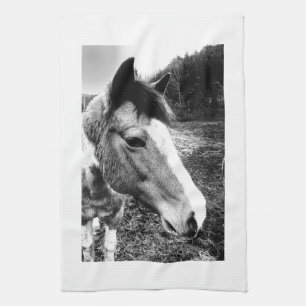Horse Kitchen Towel